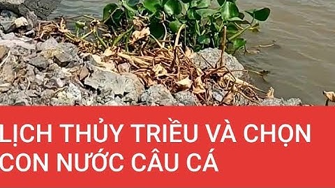 Lịch thủy triều 2020 và cánh nước câu cá