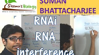 RNAi mechanism | RNA interference pathway using siRNA and shRNA