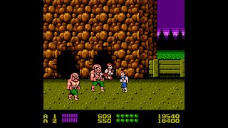 Real Double Dragon NES 2 player