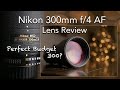 Nikon 300mm f/4 AF ED Lens Review / sample images / The perfect budget 300mm that delivers results