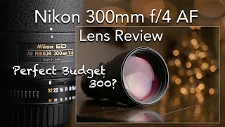 Nikon 300mm f/4 AF ED Lens Review / sample images / The perfect budget 300mm that delivers results