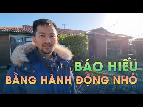 Video Chuyện làm farm ở Úc, trải qua khó khăn mới biết... - youtube