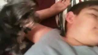 Sleeping Boy Farts In Dogs Face