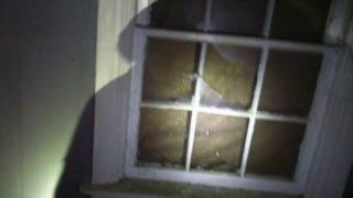 Sleighton Farms Abandoned Property Inside Gray Trent Vocational Center