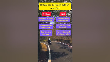 Python vs .NET: Which One is Better for Development?