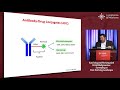 New antibodies and antibody-drug conjugates for B-cell lymphoma