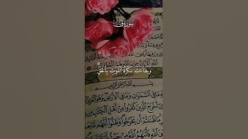 تلاوة خاشعة بصوت جميل للقلرئ علي نمير #القرآن_الكريم #المصحف #راحة_نفسية