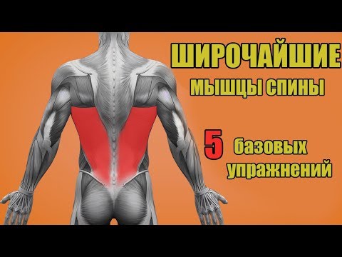 ШИРОЧАЙШИЕ МЫШЦЫ СПИНЫ. 5 БАЗОВЫХ УПРАЖНЕНИЙ. + ОШИБКИ УБИВАЮЩИЕ ПРОГРЕСС!