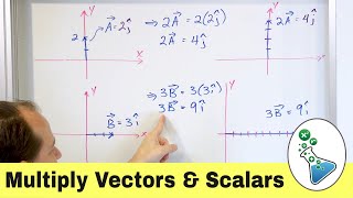 Multiply a Vector by a Scalar