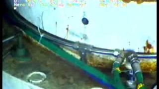Capping stack leaking oil - July 19