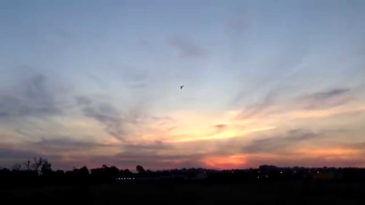 Zeta Sciece FX-79 Buffalo Maiden