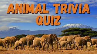 Animal Quiz In English | General Knowledge Quiz | Quiz Time