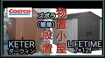 ダーウィン Youtube