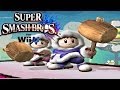 Super Smash Bros Wii U: Will Ice Climbers Return