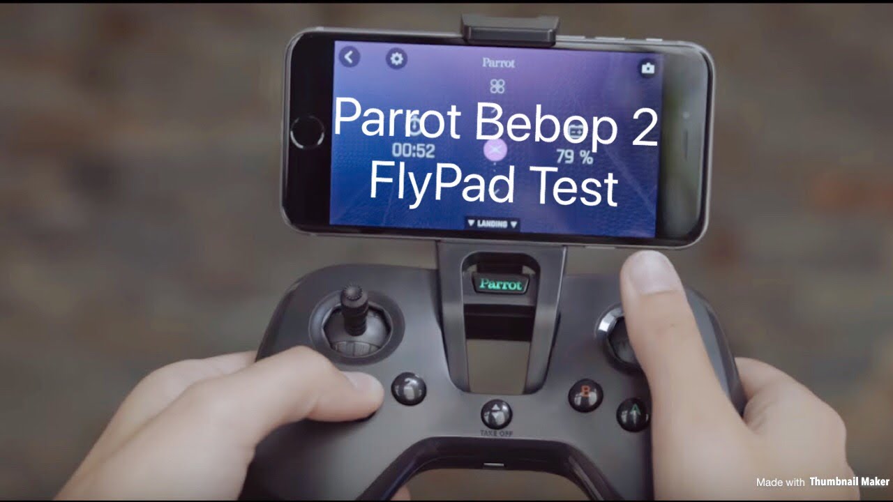 parrot fly pad