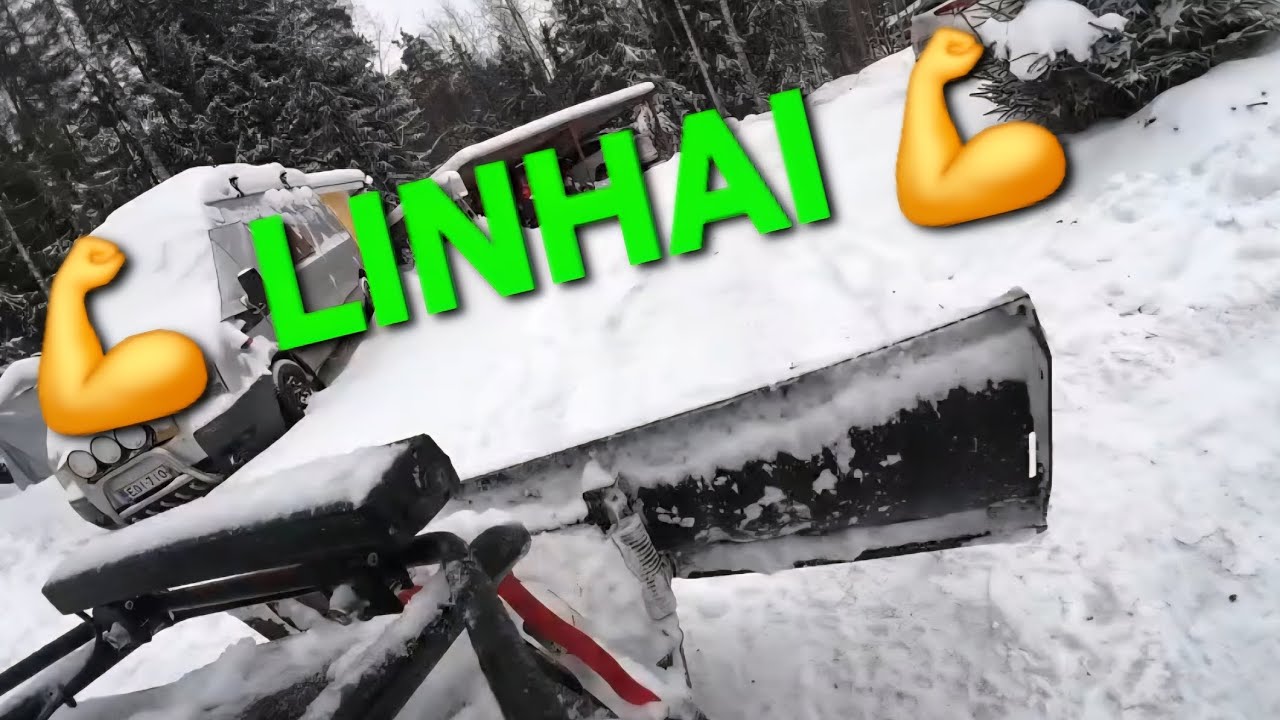 POV: PETE   NO mercy for linhai 👊