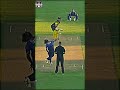 5 CRAZY Cricket Facts You Didn't Know.  #shortfed #factualchannel #facts