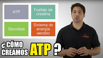 ¿Cómo aumentar el ATP en el cuerpo?