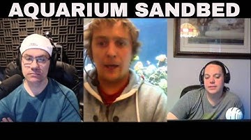 saltwater tank sand bed vs no sand bed