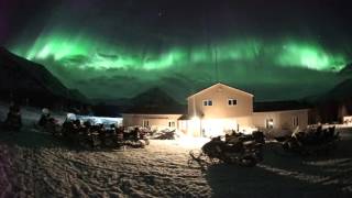 Куэльпорр 2016. Живое видео полярного сияния.