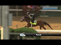 Patch gallops 4.27