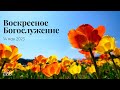 14.05.2023 - Воскресное Богослужение