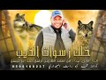 جديد مجرودة خلك ز سوات الذيب حيهم القديرات محمد أبو راشد البهداري حصريا 2024