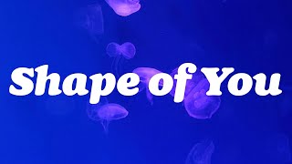 Ed Sheeran - Shape of You (Lyrics) by butter music  1,052 views 8 days ago 3 minutes, 54 seconds