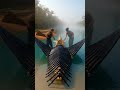 25ft Bamboo Stingray Zero to Hero 😱