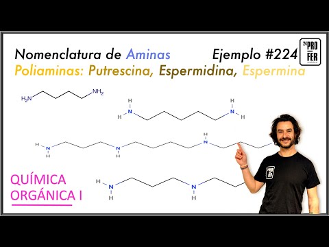 Vídeo: Como sintetizar a espermina?