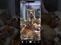 НОВЫЙ ТИК ТОК БЕЗ ВПН!  #тикток #ios #айфон #рекомендации #tiktok #2026 #туториал #viral #iphone