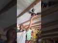 Fan Smoking Sound exprement 3 #exprement #fan #ceilingfan