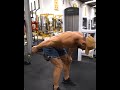 Best exercise of tricep triceps workout bodybuilding