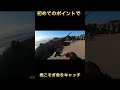 ヒラメが連発するキャンプ場の一コマ♯shorts #fishing #茨城釣り
