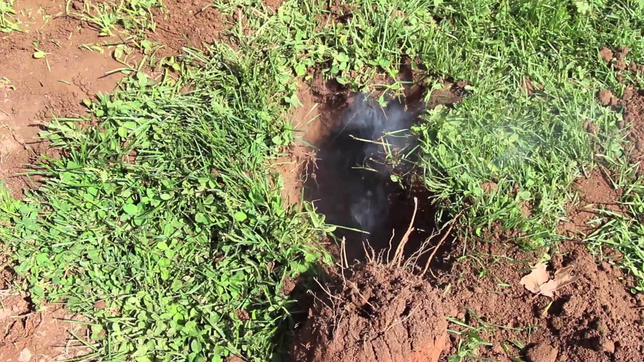 Gopher Gas Bombs YouTube