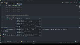 Celebrity 5 Strings (basics) Python Tutorial Full Course for Beginners- intermediate to Advance Complete guide Net Worth
