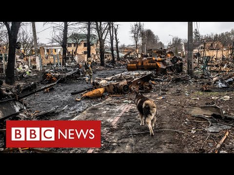 Hundreds more civilians were killed in towns near Kyiv – BBC News