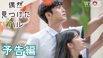 『偶然見つけたハル』予告編 | ポニーキャニオン WE LOVE K