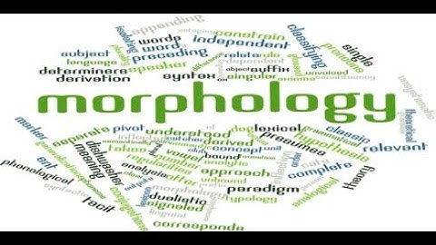 Morphological Awareness of Grade 8 Students in #Caraga Region