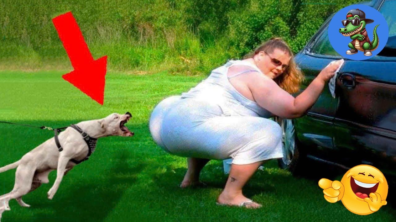 VERSUCHE NICHT ZU LACHEN !!! 🤣🤣🤣 #121