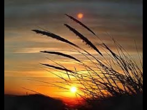 ზაურ ბოლქვაძე ''ნანას'' მაია სიჭინავა /Author songs maia sitchinava