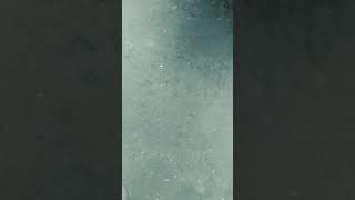 Download Lagu STORY WA TIARA-KRIS MP3