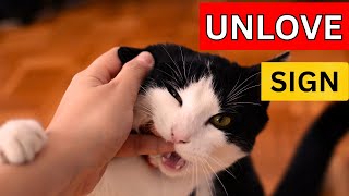 5 Shocking Signs Your Cat Secretly Hates You