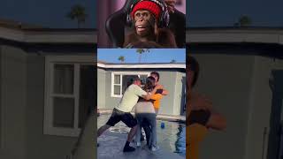 try to not lough challenges subscribe #funny #catvideos #animals #nothingimposibleinthisworld