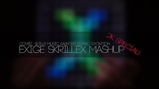 Sein & Music - Skrillex Mashup[2K Special Project] screenshot 1