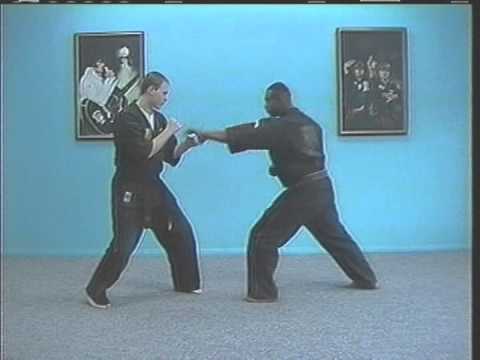 BKF Temple & Terry - Karate Connection Kenpo Freestyle DVD