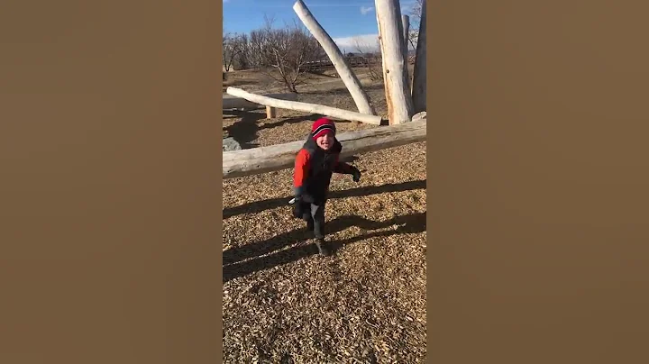 Logs and stumps!