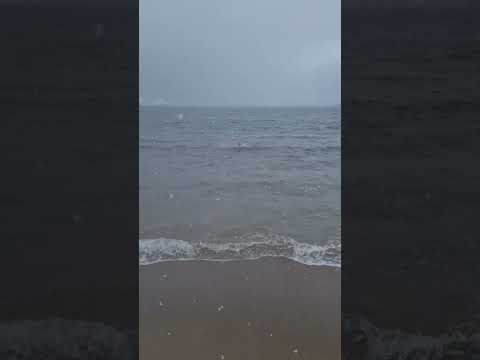 Видео: купаться в Териберке | Баренцево море 11.05.2024