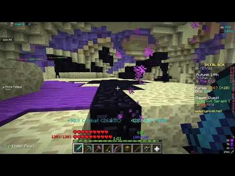 Hypixel Skyblock: Fighting Voidgloom Seraph T1 - YouTube