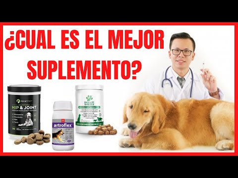 Video: ¿Hay suplementos para perros que puedan ayudar a derramar?